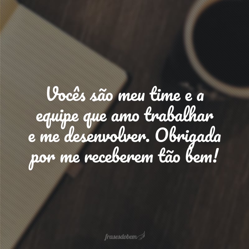 Vocês são meu time e a equipe que amo trabalhar e me desenvolver. Obrigada por me receberem tão bem!