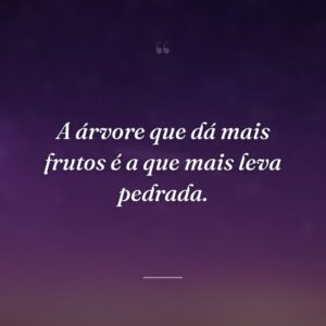 A árvore que dá mais frutos é a que mais leva pedrada.