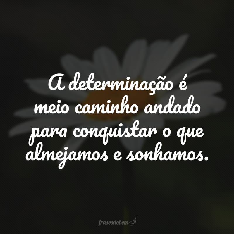 A determinação é meio caminho andado para conquistar o que almejamos e sonhamos.