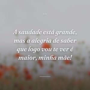 A saudade está grande, mas a alegria de saber que logo vou te ver é maior, minha mãe!