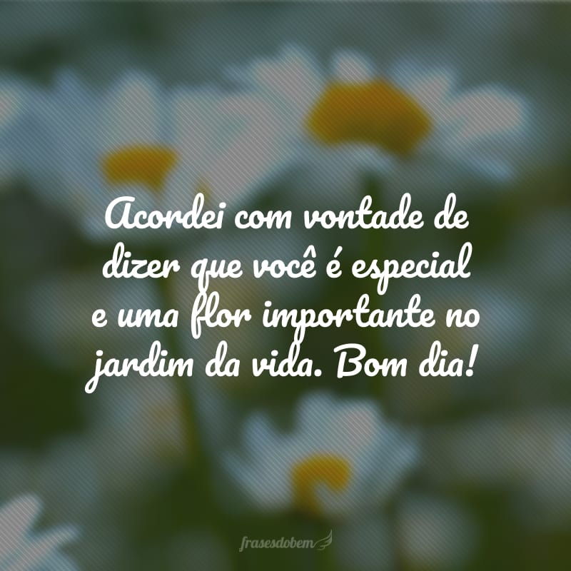 Acordei com vontade de dizer que você é especial e uma flor importante no jardim da vida. Bom dia!