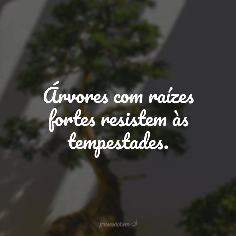 Árvores com raízes fortes resistem às tempestades.