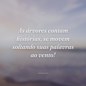 As árvores contam histórias, se movem soltando suas palavras ao vento!
