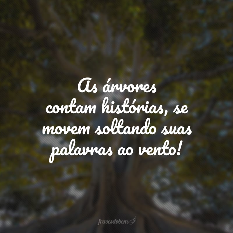 As árvores contam histórias, se movem soltando suas palavras ao vento!