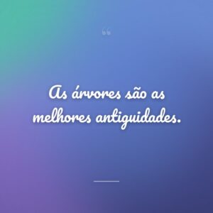 As árvores são as melhores antiguidades.