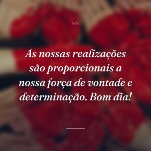 As nossas realizações são proporcionais a nossa força de vontade e determinação. Bom dia!