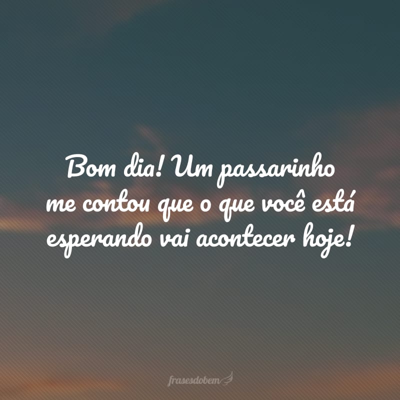 Bom dia! Um passarinho me contou que o que você está esperando vai acontecer hoje!