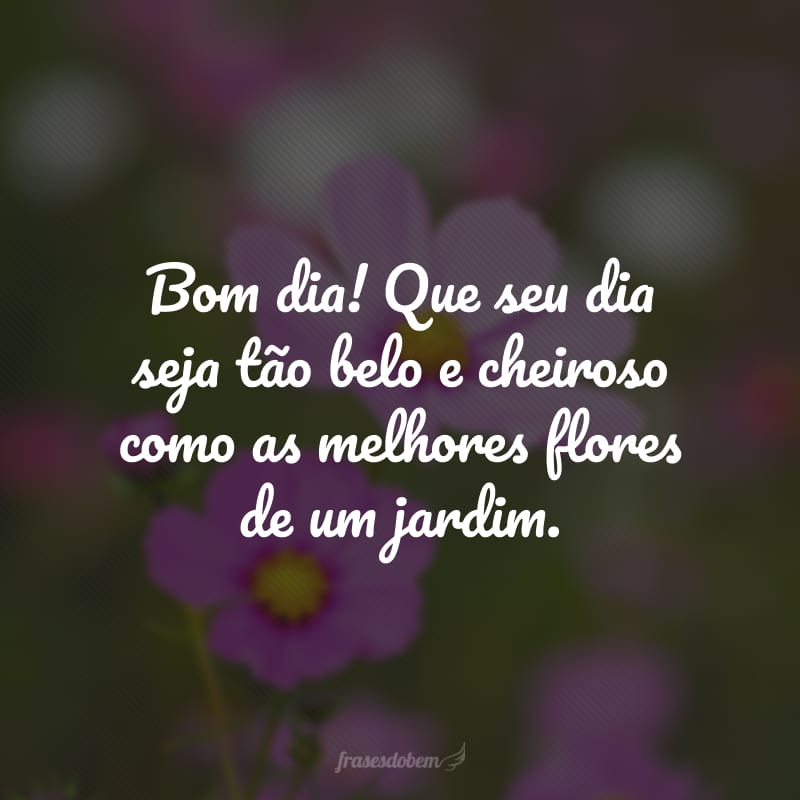 Bom dia! Que seu dia seja tão belo e cheiroso como as melhores flores de um jardim.