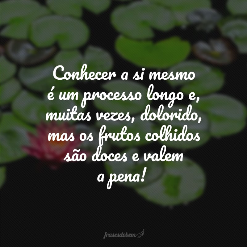 Conhecer a si mesmo é um processo longo e, muitas vezes, dolorido, mas os frutos colhidos são doces e valem a pena!