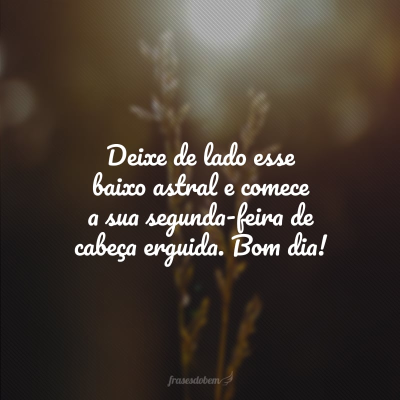 Deixe de lado esse baixo astral e comece a sua segunda-feira de cabeça erguida. Bom dia!