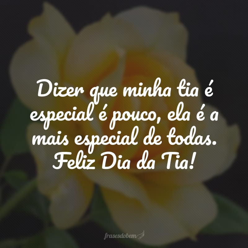 Dizer que minha tia é especial é pouco, ela é a mais especial de todas. Feliz Dia da Tia!