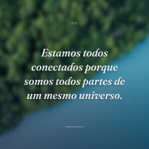 Estamos todos conectados porque somos todos partes de um mesmo universo.