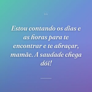 Estou contando os dias e as horas para te encontrar e te abraçar, mamãe. A saudade chega dói!