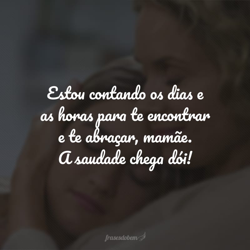 Estou contando os dias e as horas para te encontrar e te abraçar, mamãe. A saudade chega dói!