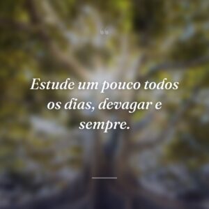 Estude um pouco todos os dias, devagar e sempre.