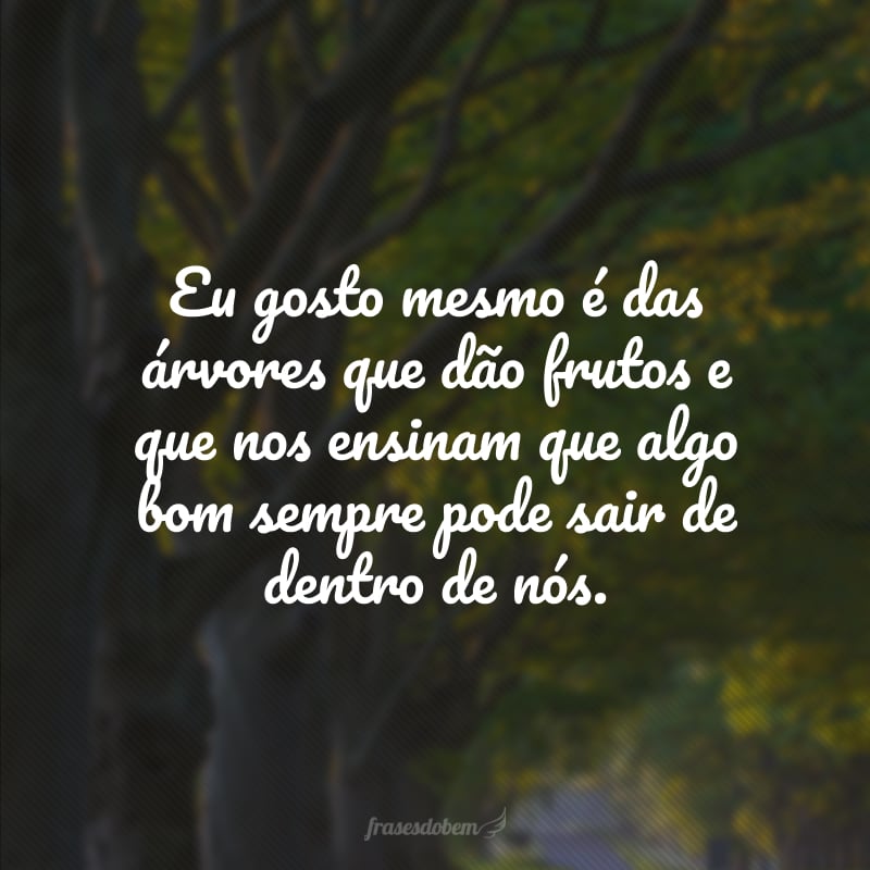 Eu gosto mesmo é das árvores que dão frutos e que nos ensinam que algo bom sempre pode sair de dentro de nós.