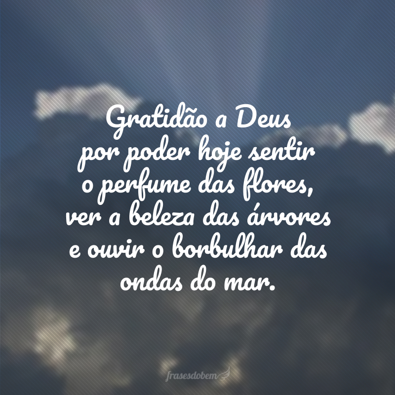 Gratidão a Deus por poder hoje sentir o perfume das flores, ver a beleza das árvores e ouvir o borbulhar das ondas do mar.