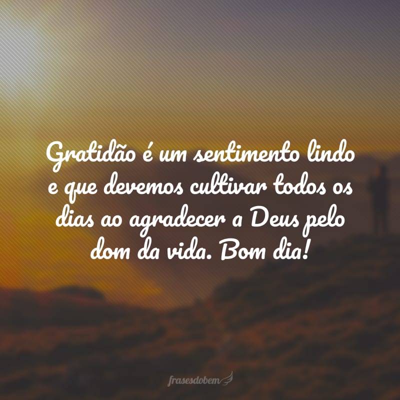 Gratidão é um sentimento lindo e que devemos cultivar todos os dias ao agradecer a Deus pelo dom da vida. Bom dia!