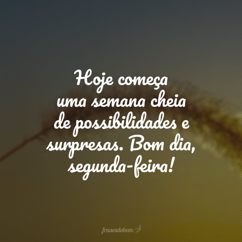 Hoje começa uma semana cheia de possibilidades e surpresas. Bom dia, segunda-feira!