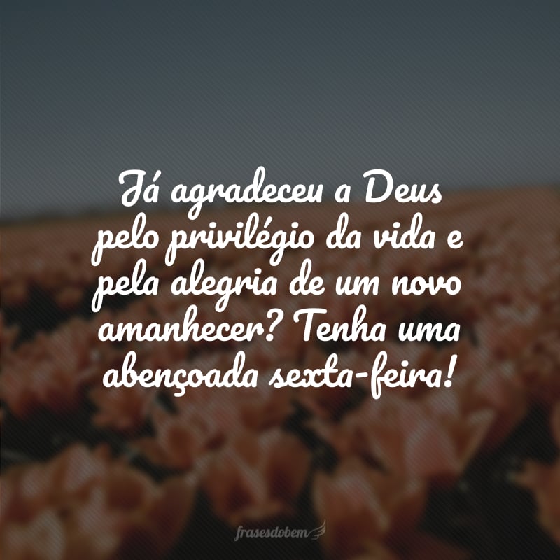 Já agradeceu a Deus pelo privilégio da vida e pela alegria de um novo amanhecer? Tenha uma abençoada sexta-feira!