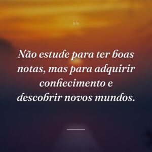 Não estude para ter boas notas, mas para adquirir conhecimento e descobrir novos mundos.