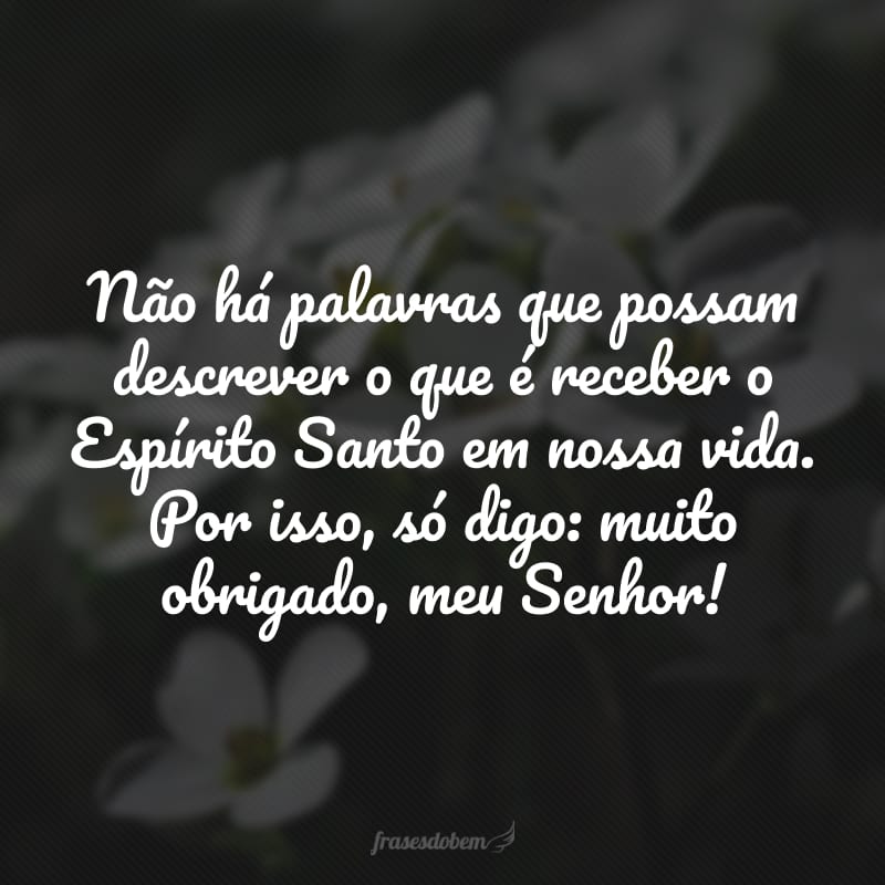 Não há palavras que possam descrever o que é receber o Espírito Santo em nossa vida. Por isso, só digo: muito obrigado, meu Senhor!