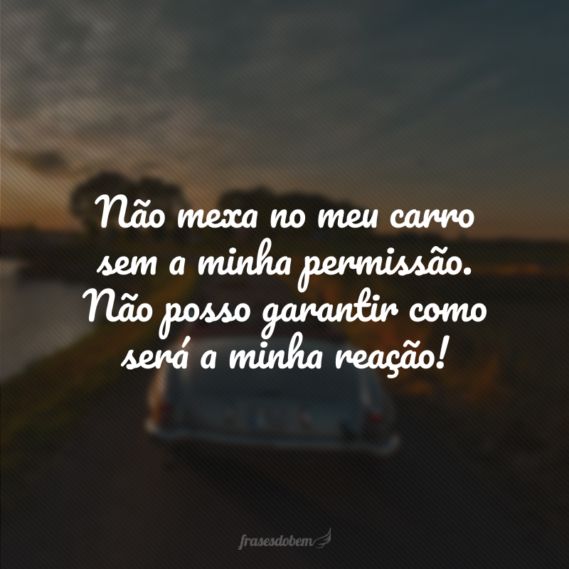 Não mexa no meu carro sem a minha permissão. Não posso garantir como será a minha reação!