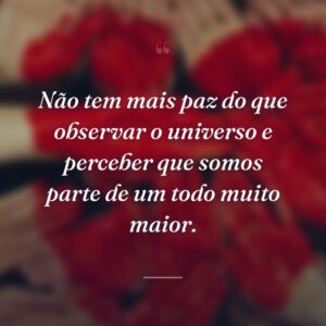 Não tem mais paz do que observar o universo e perceber que somos parte de um todo muito maior.