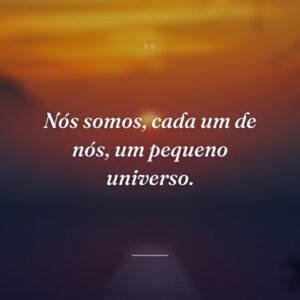 Nós somos, cada um de nós, um pequeno universo.