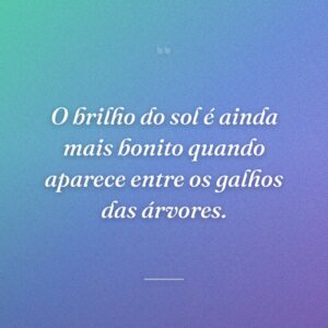 O brilho do sol é ainda mais bonito quando aparece entre os galhos das árvores.