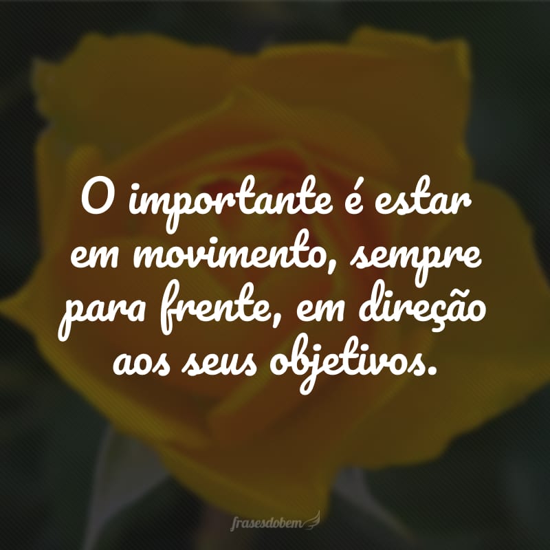 O importante é estar em movimento, sempre para frente, em direção aos seus objetivos.