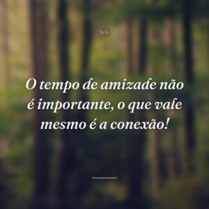 O tempo de amizade não é importante, o que vale mesmo é a conexão!