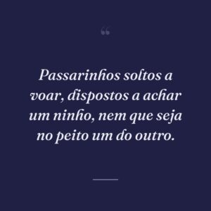 Passarinhos soltos a voar, dispostos a achar um ninho, nem que seja no peito um do outro.