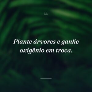 Plante árvores e ganhe oxigênio em troca.