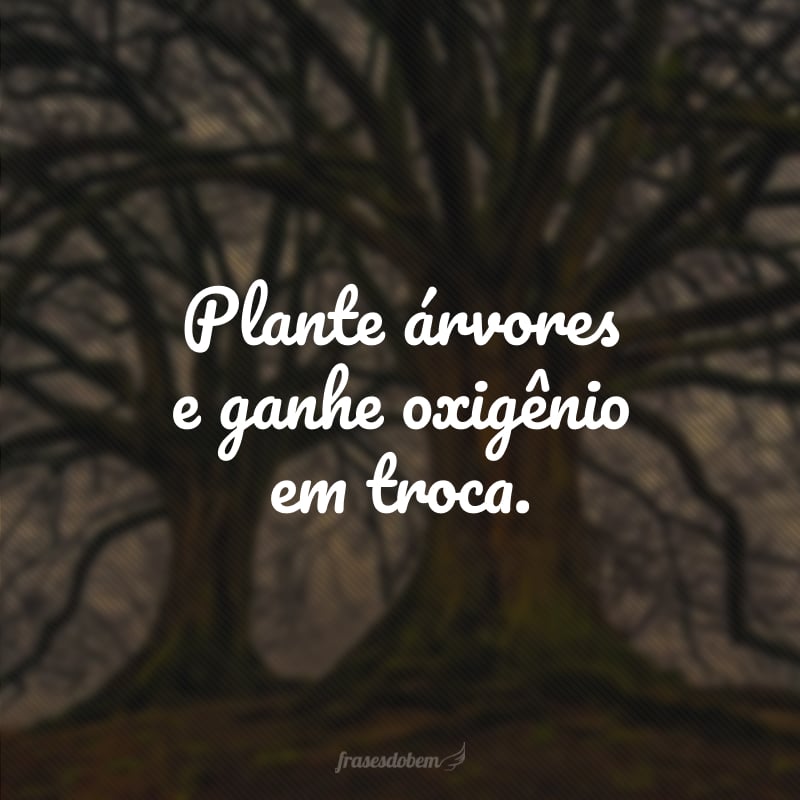 Plante árvores e ganhe oxigênio em troca.
