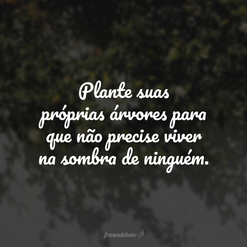 Plante suas próprias árvores para que não precise viver na sombra de ninguém.