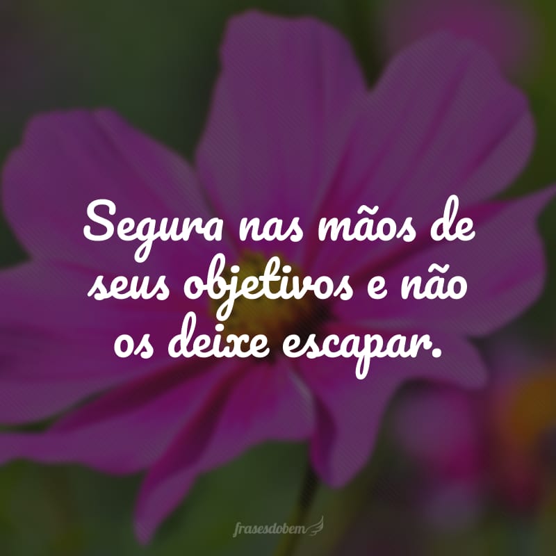 Segura nas mãos de seus objetivos e não os deixe escapar.