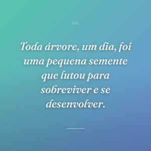 Toda árvore, um dia, foi uma pequena semente que lutou para sobreviver e se desenvolver.