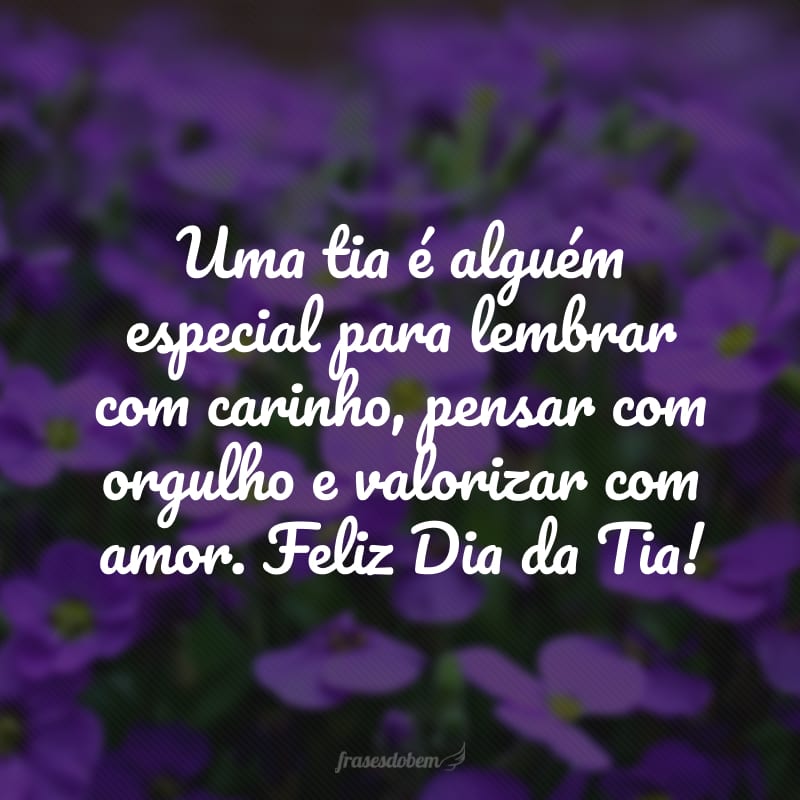 Uma tia é alguém especial para lembrar com carinho, pensar com orgulho e valorizar com amor. Feliz Dia da Tia!