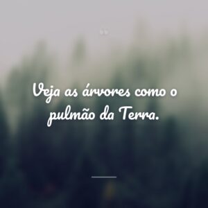 Veja as árvores como o pulmão da Terra.
