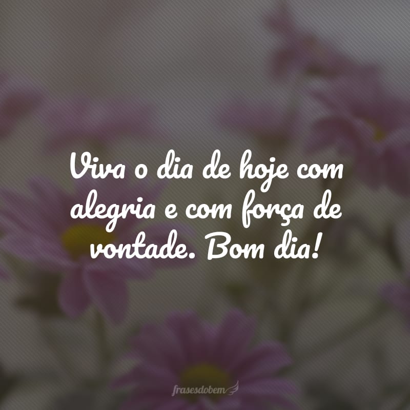 Viva o dia de hoje com alegria e com força de vontade. Bom dia!