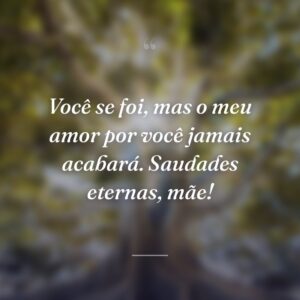 Você se foi, mas o meu amor por você jamais acabará. Saudades eternas, mãe!