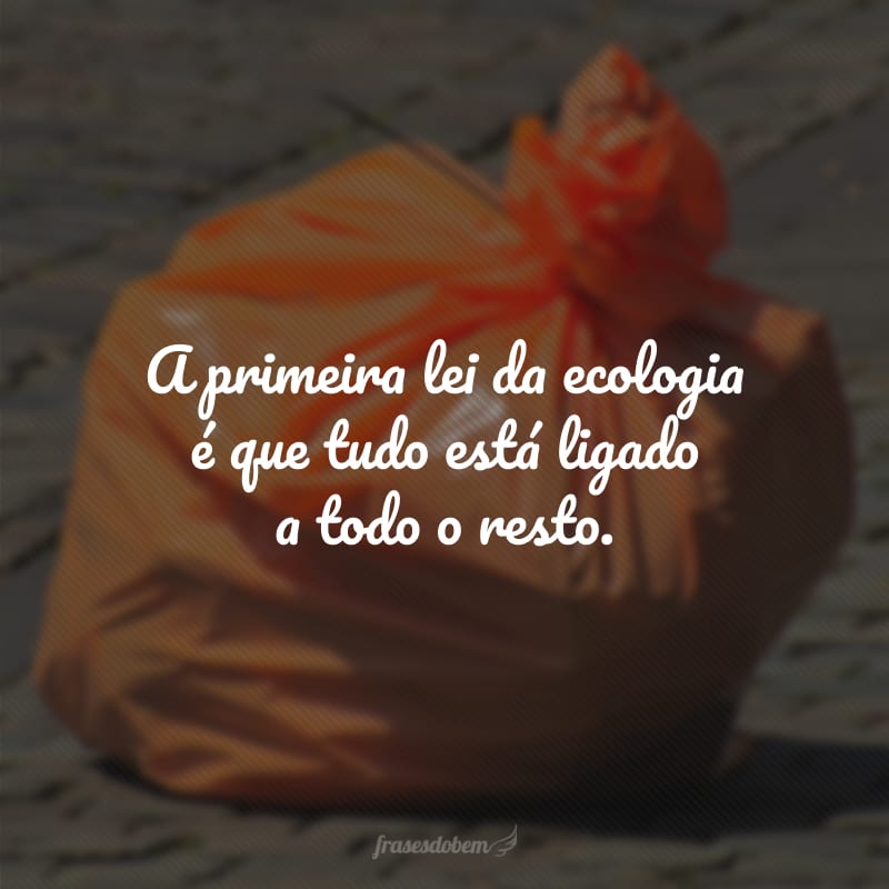 A primeira lei da ecologia é que tudo está ligado a todo o resto.