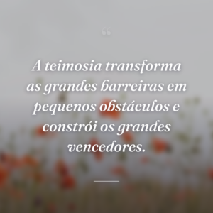 A teimosia transforma as grandes barreiras em pequenos obstáculos e constrói os grandes vencedores.