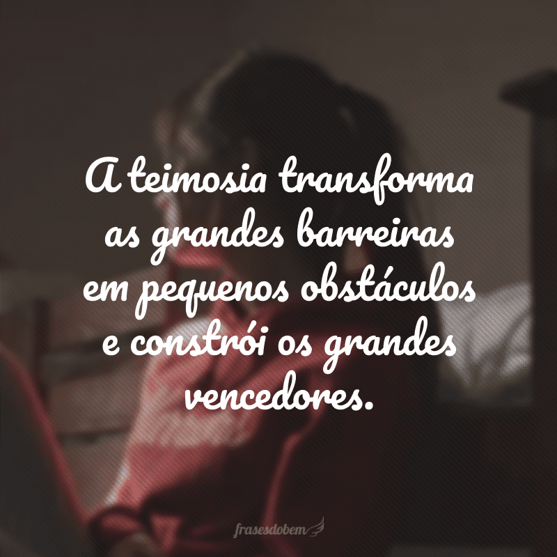 A teimosia transforma as grandes barreiras em pequenos obstáculos e constrói os grandes vencedores. 