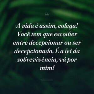 A vida é assim, colega! Você tem que escolher entre decepcionar ou ser decepcionado. É a lei da sobrevivência, vá por mim!