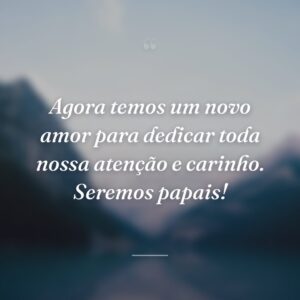Agora temos um novo amor para dedicar toda nossa atenção e carinho. Seremos papais!