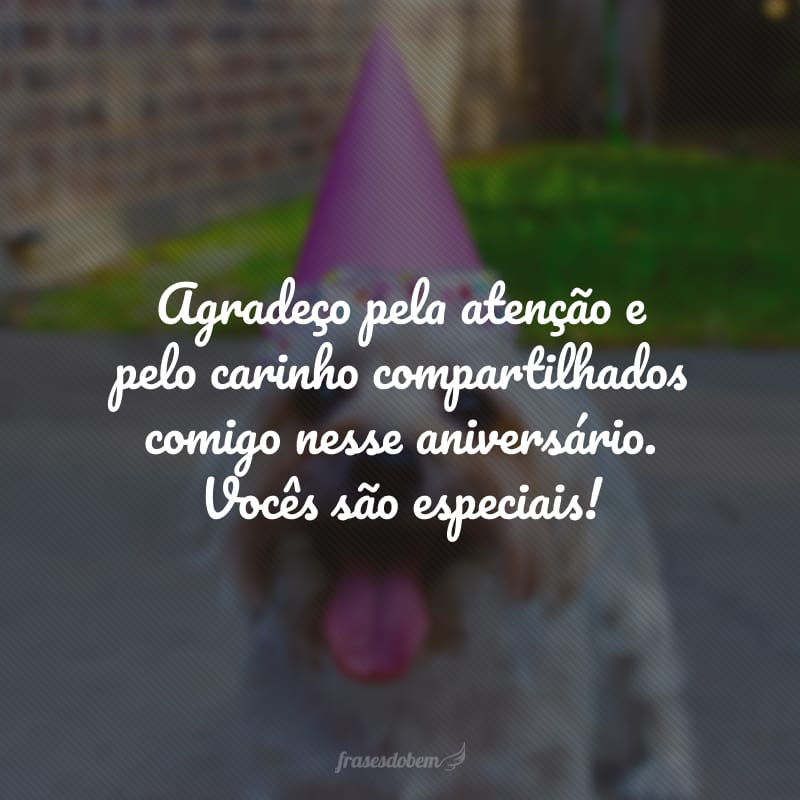 Agradeço pela atenção e pelo carinho compartilhados comigo nesse aniversário. Vocês são especiais!