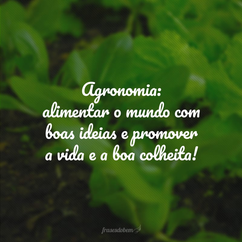 Agronomia: alimentar o mundo com boas ideias e promover a vida e a boa colheita!