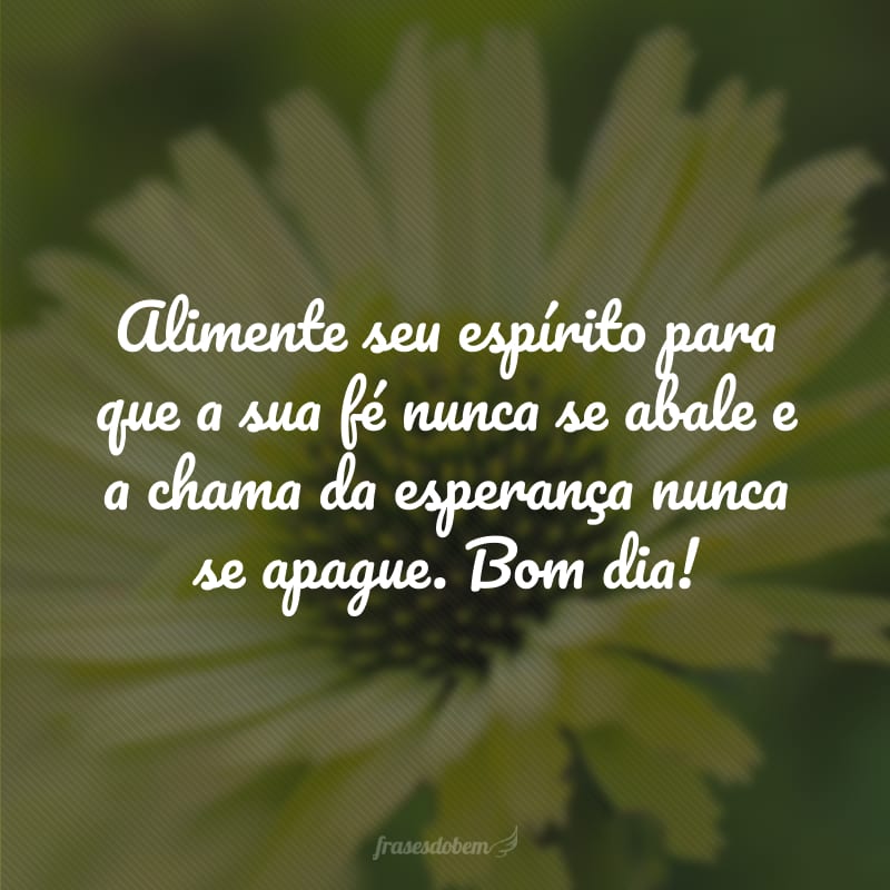 Alimente seu espírito para que a sua fé nunca se abale e a chama da esperança nunca se apague. Bom dia!